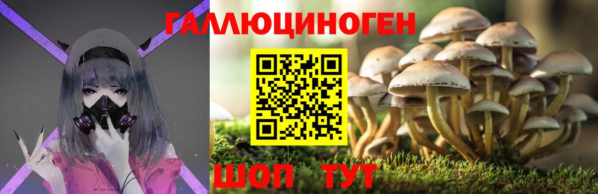 Галлюциногенные грибы Magic Shrooms Бирск